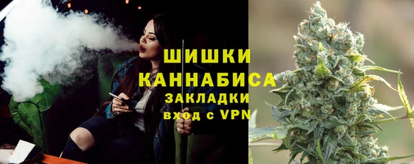 ГАЛЛЮЦИНОГЕННЫЕ ГРИБЫ Горнозаводск