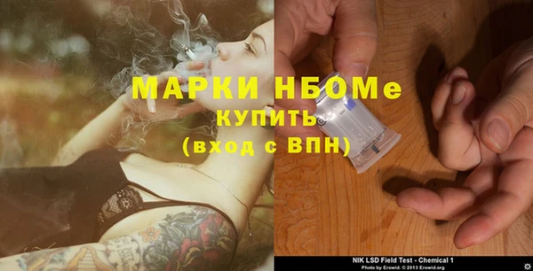 ГАЛЛЮЦИНОГЕННЫЕ ГРИБЫ Горняк