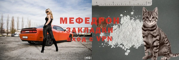 шишки Горно-Алтайск