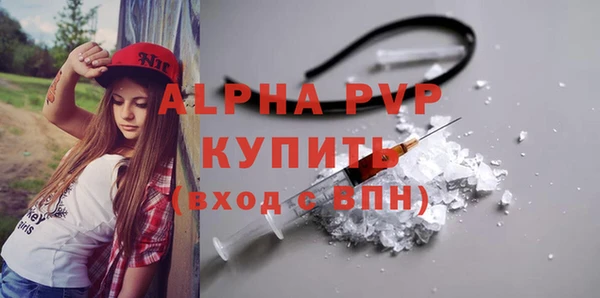шишки Горно-Алтайск