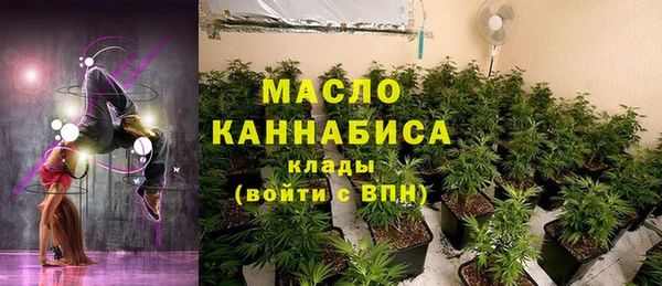 шишки Горно-Алтайск