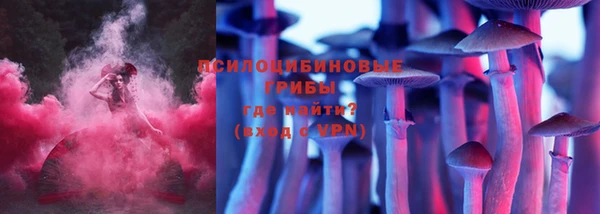 ГАЛЛЮЦИНОГЕННЫЕ ГРИБЫ Горняк