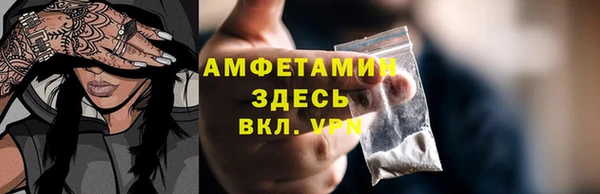 шишки Горно-Алтайск