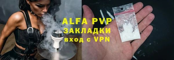 шишки Горно-Алтайск