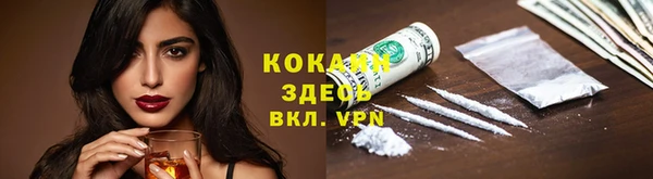 ГАЛЛЮЦИНОГЕННЫЕ ГРИБЫ Горняк