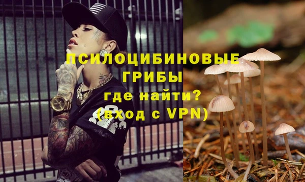 ГАЛЛЮЦИНОГЕННЫЕ ГРИБЫ Горняк