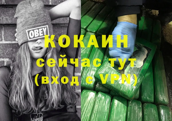 шишки Горно-Алтайск