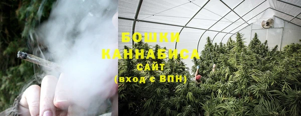ГАЛЛЮЦИНОГЕННЫЕ ГРИБЫ Горняк