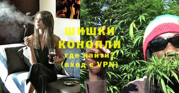 ГАЛЛЮЦИНОГЕННЫЕ ГРИБЫ Горнозаводск