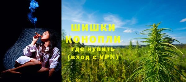ГАЛЛЮЦИНОГЕННЫЕ ГРИБЫ Горняк