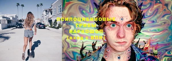 шишки Горно-Алтайск