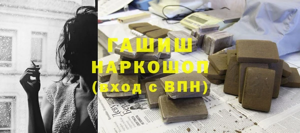 шишки Горно-Алтайск