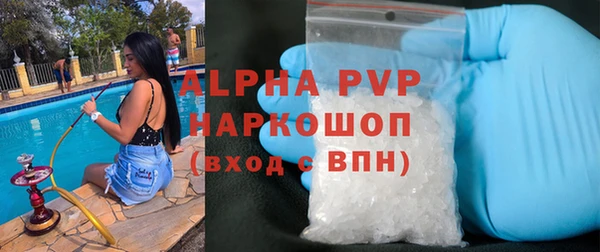 ГАЛЛЮЦИНОГЕННЫЕ ГРИБЫ Горняк