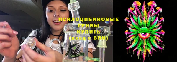 шишки Горно-Алтайск
