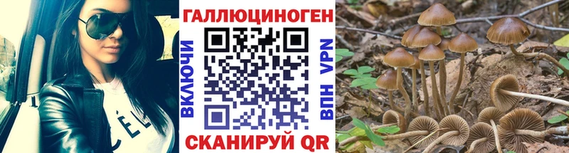 Галлюциногенные грибы Psilocybe  Купить где  Большой Камень 